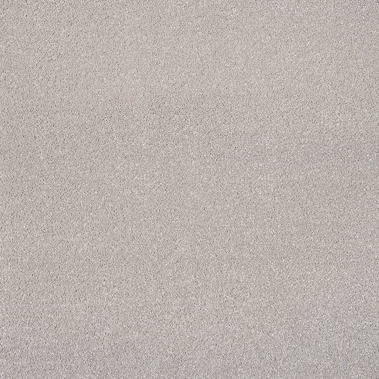 Carpet Sensation - Ammonite
